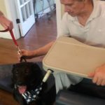 Pet therapy with Dakota at Monroe